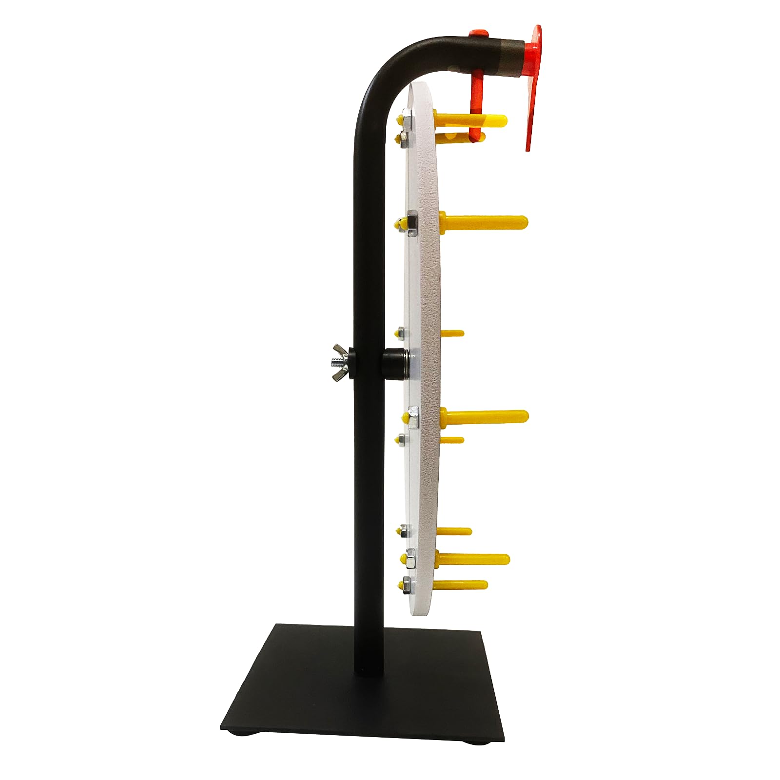 Roue De La Fortune 30×30 Cm – 10 Slots Colorés – Surface Effaçable – Idéale Pour Jeux, Carnaval, Soirées, Tirages Au Sort