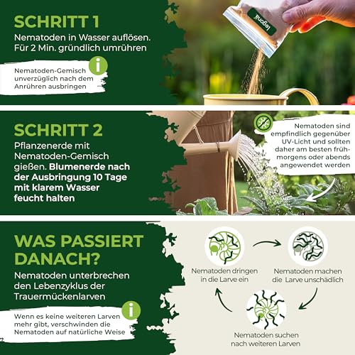 Nematoden Legona SF zur Bekämpfung von Trauermücken, 5m²