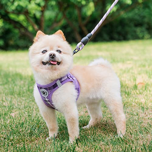 Beautyzoo Small Dog Harness And Leash Set,Step In No Chock No Pull Soft Mesh Dog Harnesses Reflective For Extra-Small/Small Medium Puppy Dogs And Cats, Plaid Dog Vest Harness For Xs S Pets, Purple S #TOP7