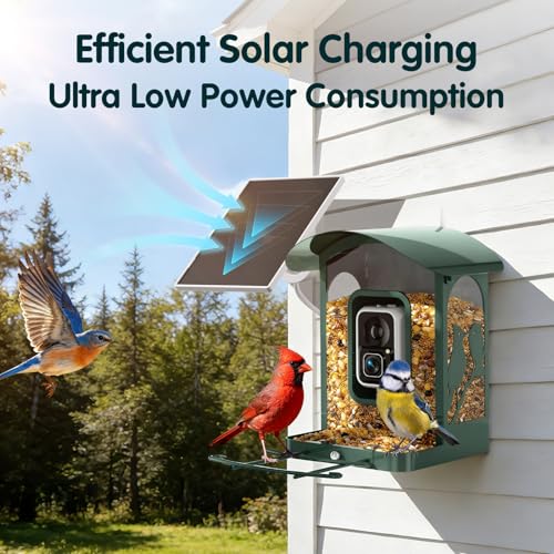  4K Smart Bird Feeder with Camera - image 8