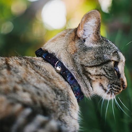 Collar de gato separable Buckle Down galaxia, accesorio de seguridad 3