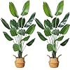 Mosade 6ft artificial bird of paradise planttall fake tropical palm tree with woven seagrass basket realistic faux tree13 detachable trunks silk plants for modern home decor indoor office2pack  urban country home decor