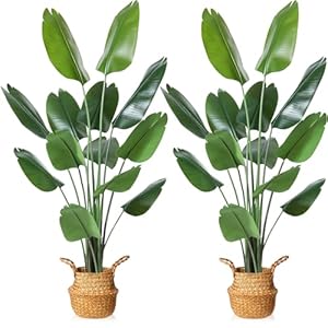 Mosade6ftartificialbirdofparadiseplanttallfaketropicalpalmtreewithwovenseagrassbasketrealisticfauxtree13detachabletrunkssilkplantsformodernhomedecorindooroffice2pack Urban Country Home Decor Mosade 6ft artificial bird of paradise planttall fake tropical palm tree with woven seagrass basket realistic faux tree13 detachable trunks silk plants for modern home decor indoor office2pack urban country home decor
