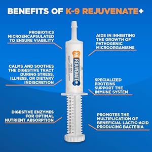 K9 Rejuvenate+ Canine Oral Paste (60g Oral Syringe, Pack of 1) Digestive and Immune Support for Dogs - Dog Supplements for Digestion K9 Rejuvenate+ Canine Oral Paste (60g Oral Syringe, Pack of 1) Digestive and Immune Support for Dogs – Dog Supplements for Digestion