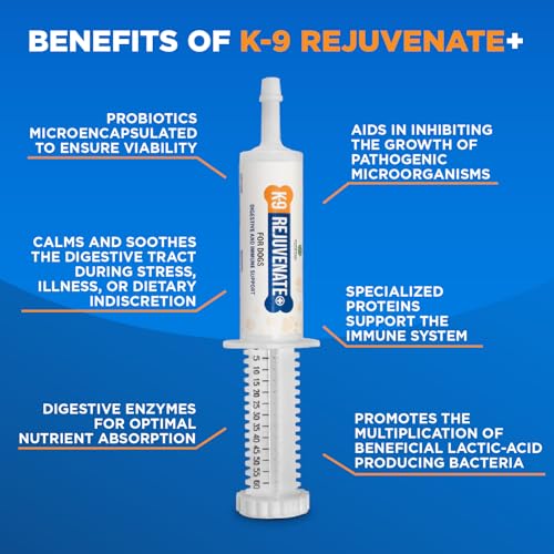 K9 Rejuvenate+ Canine Oral Paste (60g Oral Syringe, Pack of 1) Digestive and Immune Support for Dogs – Dog Supplements for Digestion K9 Rejuvenate+ Canine Oral Paste (60g Oral Syringe, Pack of 1) Digestive and Immune Support for Dogs – Dog Supplements for Digestion