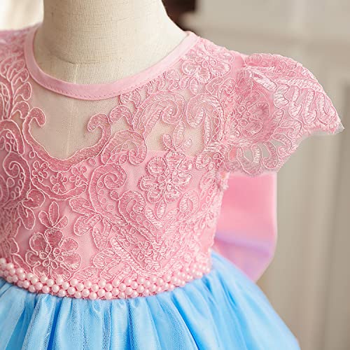 Image of HNXDYY Little Girls Princess Dress Girls Fancy Party Costume