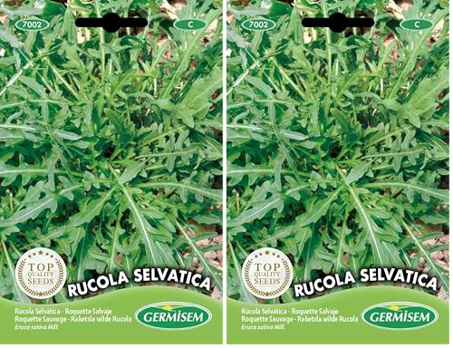 Germisem Rucola Selvatica Semillas de Rúcula 2 g, EC7002 (Paquete de 2)