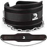 Premium Dip Belt con cadena de DMoose Fitness - Cadena de acero resistente de 36"- Maximice sus entrenamientos de levantamiento de pesas y culturismo con duradero Dipping Belt