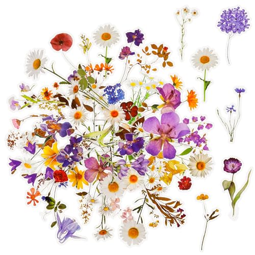 120 Stück Blumen Scrapbooking Aufkleber,Transparente Pflanzen Aufkleber, Vintage Bunte Blumenaufkleber,PET Wasserfeste Flower Stickers für Scrapbook Fotoalbum Tagebücher Karten