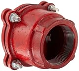 Dixon DFVS40 Painted Carbon Threaded Foot Valve Complete Assembly, 4' NPT