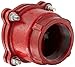 Dixon DFVS40 Painted Carbon Threaded Foot Valve Complete Assembly, 4