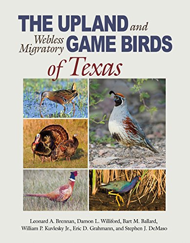 The Upland and Webless Migratory Game Birds of Texas (Perspectives on South Texas, sponsored by Texas A&M University-Kingsville)