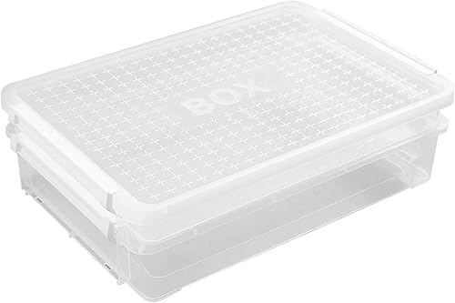 Marte Vanci Contenedor de almacenamiento transparente para proyectos, caja de almacenamiento de plástico con tapas de pestillo, protector de