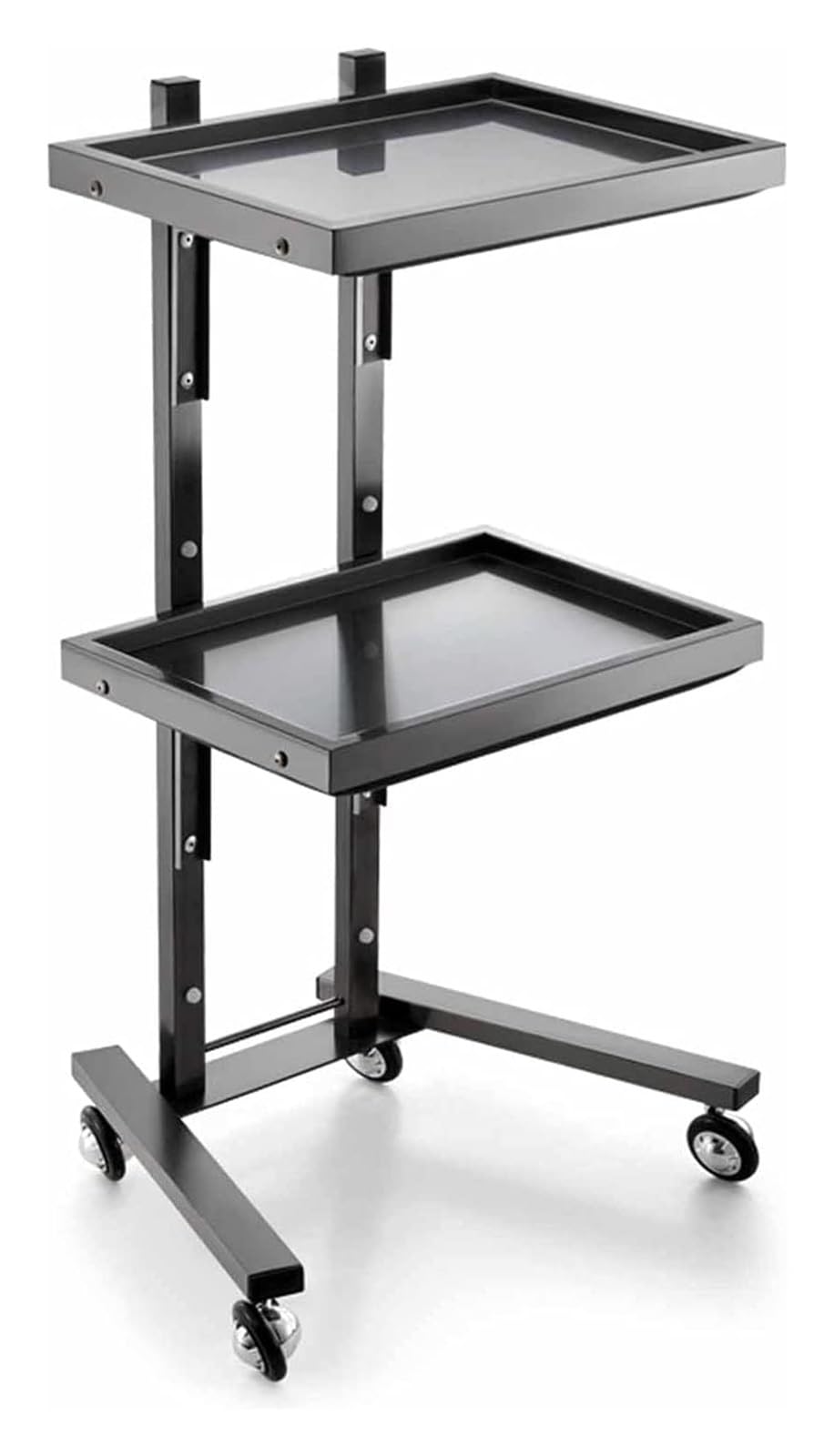 Organizador de Carro utilitario de Acero Inoxidable: Carro portátil de 2 estantes for Uso en salón, Medicina y Tatuajes con 4 Ruedas(Black)