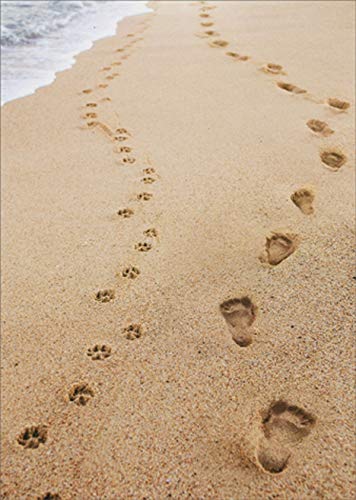 Avanti Human and Dog Footprints Pet Sympathy Card