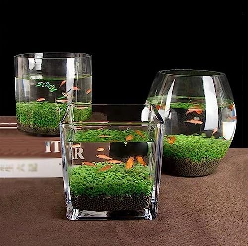 Thickened Glass Fish Bowl Aquarium - Transparent Mini Fish Tank for Water Plants, Seeds, and Micro Landscapes - Eco-Friendly Desktop Decor (Small Size)