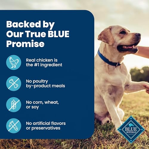 Image of Blue Buffalo Homestyle Recipe Chicken Senior Wet Dog Food, 12.5 oz, 12 ct