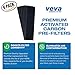 Veva 2 HEPA Air Filters & 6 Carbon Pre-Filters Replacement Filter C Compatible with Germguardian FLT5000/FLT5111 FLT5250PT, AC5000, AC5000E, AC5250PT, AC5350B, AC5350BCA, AC5350W, AC5300B