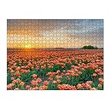 artboxONE-Puzzle L (500 Teile) Natur Abends im Tulpenfeld - Puzzle tulpen bunt Deutschland