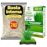 Albagarden - Concime Prato x 2 KG - Fertilizzante Granulare Per Tappeto Erboso E Da Semi - Ottimo Per Tutte Le Varietà Di Erba, Erbetta, Prato A Rotoli Resistente