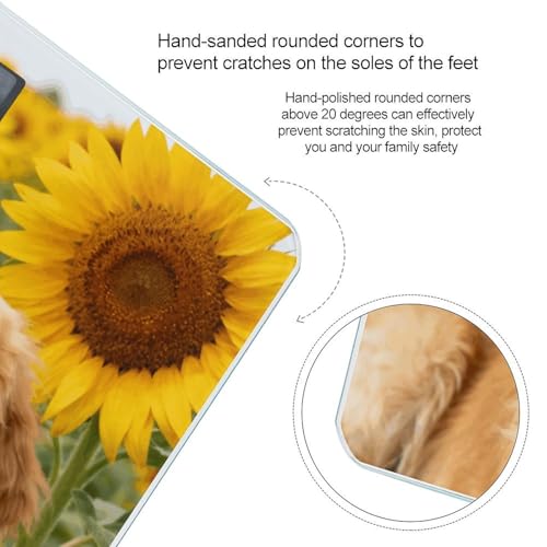 Báscula Digital Golden Retriever Sunflower 400 Lb miniatura 4