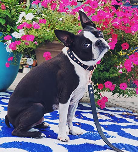 Copper Leaf Leather Handmade Studded Bridle Leather Dog Collar thumb #2