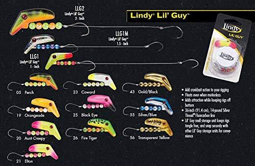 Image of Lindy Lil Guy