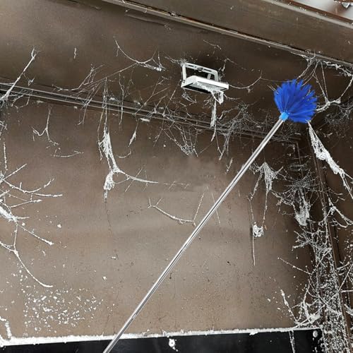 Limpiador de Telarañas para Techos Altos y Ventiladores con Mango Extensible 7