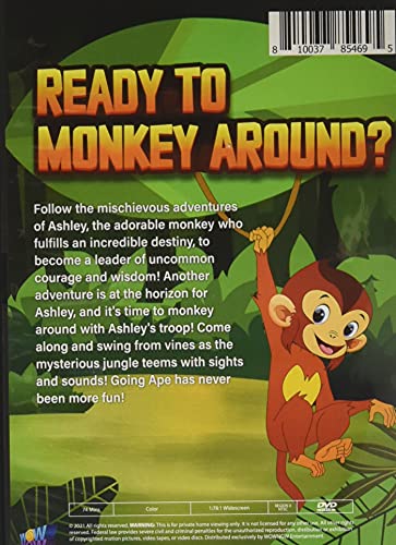 Película Ashley en DVD importada de USA para coleccionistas 3