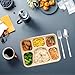 Hyuetrsa 50 Pack Heavy-Duty Compostable Trays 6 Compartment Plates Disposable 6-Section Bagasse Plates for School, Party & Catering (11