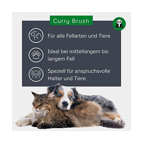 Alcott Bamboo Groom Curry Brush with Rubber Bristles for Pets Alcott Bamboo Groom Curry Brush with Rubber Bristles for Pets
