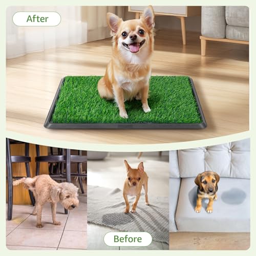 Image of Dog Grass Pad with Tray - 20''x16'' Litter Box for Balcony Apartment | 2 Pack Replacement Artificial Grass, Indoor Outdoor Potty Training Turf, Washable Reusable Pee Pad for Dogs, Easy to Clean