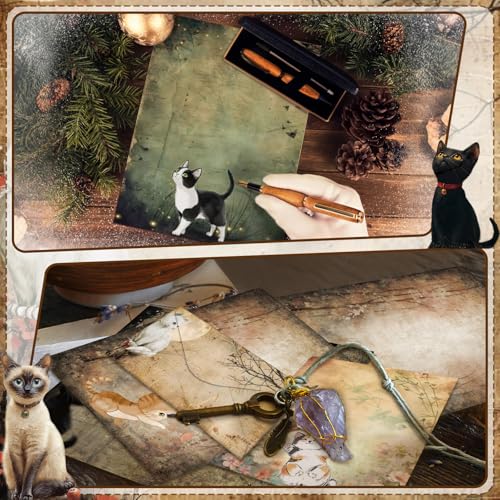 Image of TaoBary 160 Pcs Kitten Stationery Paper and Envelopes Set 50 Double Sided Lined Stationery Paper with 50 Matching Envelopes and 60 Round Dot Sticker 8.5 x 11'' Letter Writing Kit for Home, 10design