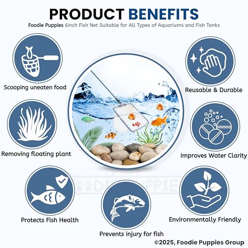 Image of Foodie Puppies Fish Net Cleaner for Aquarium /Fish Tank - 6inch | Nylon Net Safe for All Aquarium Fish, White Net with Blue Handle Quick Catch Mesh (Aquarium Fish Net 6inch)