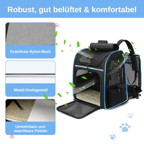 Dogat Erweiterbar Katzenrucksack mit Netzfenster, Tragbare und Faltbare Haustier Rucksack mit Innerer Sicherheitsleine und Haustierunterlage für Katzen Hunde bis 17 lbs (8 kg) Wandern, Walken(Schwarz)
