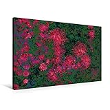 QUALITÄT: Hochwertiger, brillanter, abriebfester, lichtbeständiger Kunstdruck mit stabilem Massivholz-Rahmen. Lieferung fertig aufgespannt in sicherer Versandverpackung