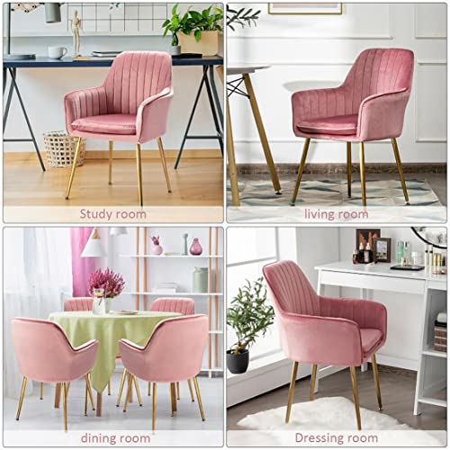 Image of Pair of 2 Stylish, Modern, Elegant & Comfortable Velvet Arms Chairs for Dinning Living Hotel Cafe (2 Chairs) (Pink)