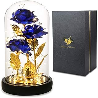 Valentines giftsEnchanted rose, Rose Romantic Gift for Her, Beauty and the beast rose, Galaxy Flowers Rose, Forever rose Gifts, Birthday, Wedding, Valentine's Day, Mother's Day (Blue)