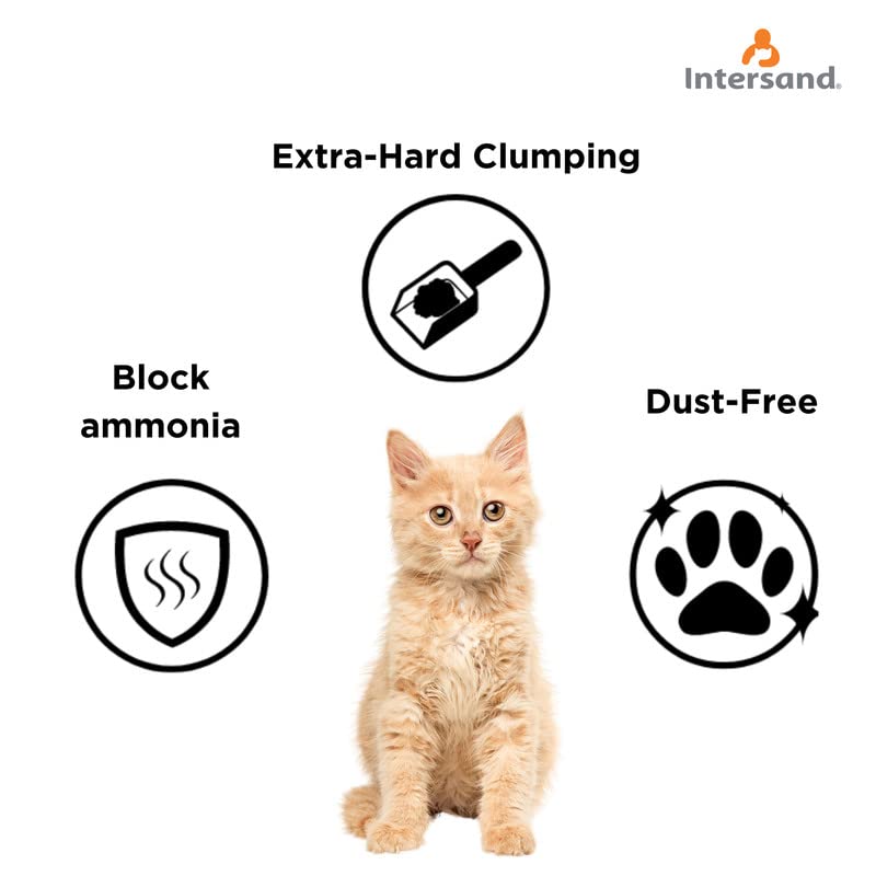 Intersand-Cat-Exclusive-Cat-Litter-for-All-Breed-Cats-Scoopable-Unscented-Clumping-User-Friendly-Solution-for-All-Cat-Owners-New-Packaging-10-Kg-Bag-Pack-of-2