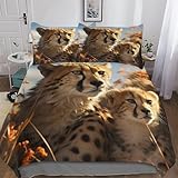 [3D-gedrucktes Bettwäsche-Set]: versteckter Reißverschluss, gute Nähte, umweltfreundlicher 3D-Druck, gute Haptik. Luxuriöses Aussehen, leicht zu reinigen