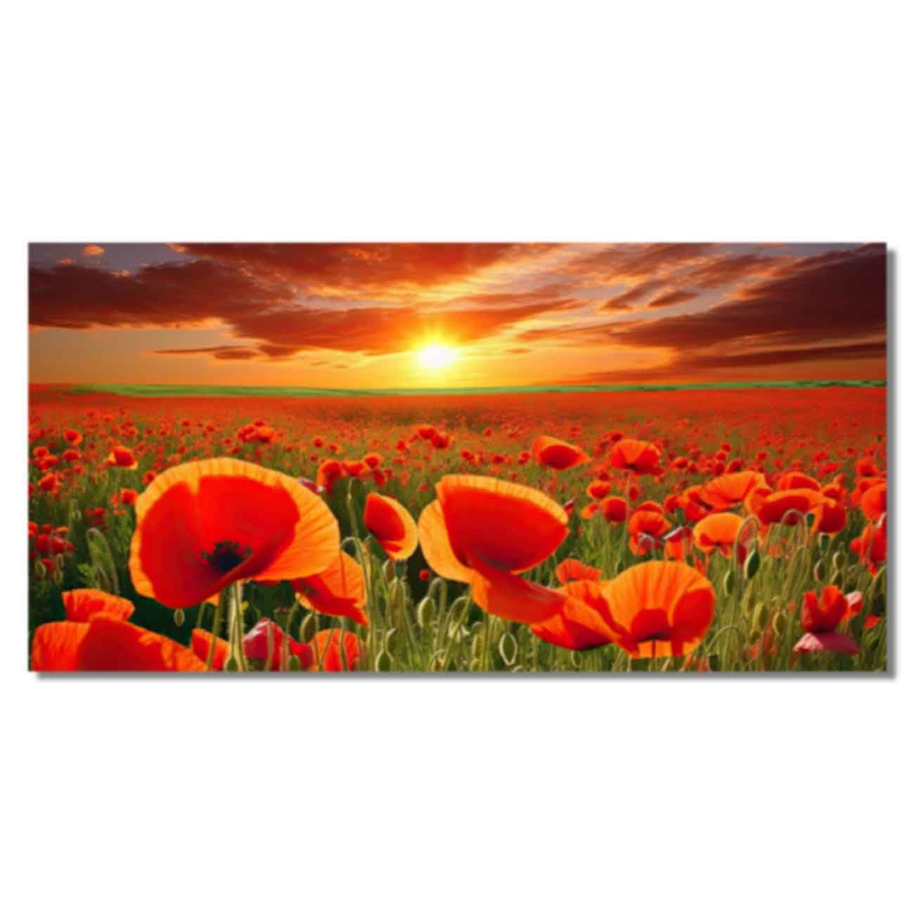 ZQQART Red Poppy Wall Art Elegant Red Poppies Flower Picture Large Poppies Field Painting Canvas Prints for Living Room Landscape Poster (RED,16.00" x 32.00")
