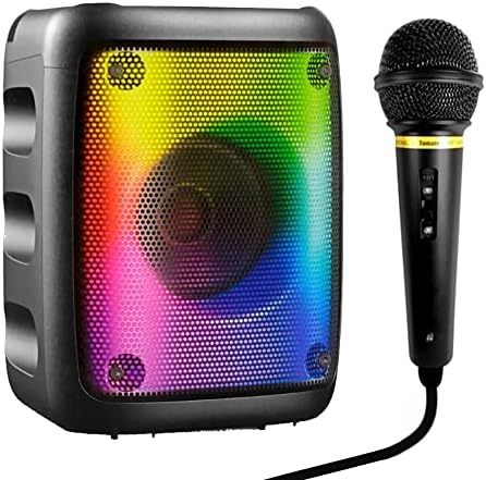 Caixinha de Som Karaokê com Microfone FM Bluetooth e LEDs Adulto ...