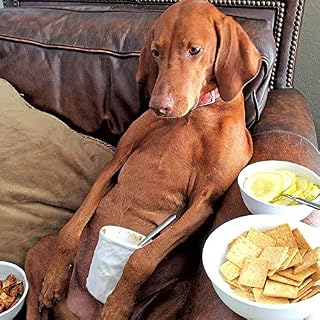 Vizsla Dog Birthday Card - Time Out