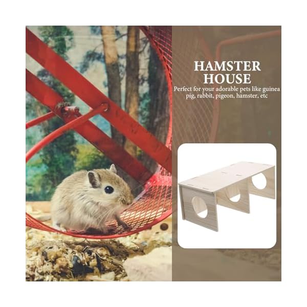 POPETPOP Verstecken Hamster Dekor Spielzeug M Tiere Lustiges Haustier Fach Klar Holz Frettchen Fenster Mäuse Verstecken für Hamster Spielzeug Multi Ratten Habitats Eichhörnchen Meereskammer Nest – Bild 6