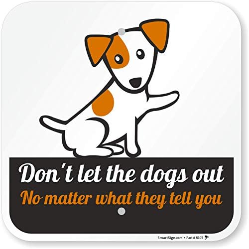 Should I Let My Puppy Outside