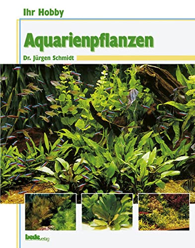 Aquarienpflanzen, Ihr Hobby