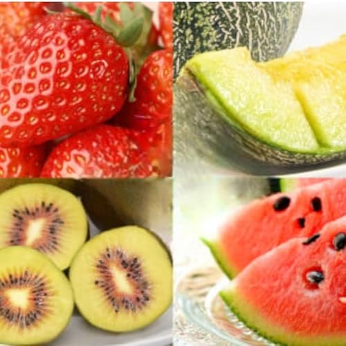 CG083[全4回]厳選!島原の人気フルーツ定期便