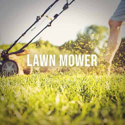 Lawn Mower the Scent of Freshly Cut Grass, White Noise Sound to Stimulate Your