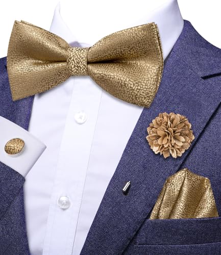 Image of Dubulle Mens Paisley Striped Bowtie Set Pre-tied Bowtie for Men and Pocket Square Set Wedding Business
