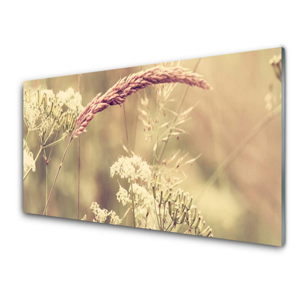 Tableau en Verre Trempé Tulup 100x50cm | Décoration Murale Design Premium Plantes Sauvages